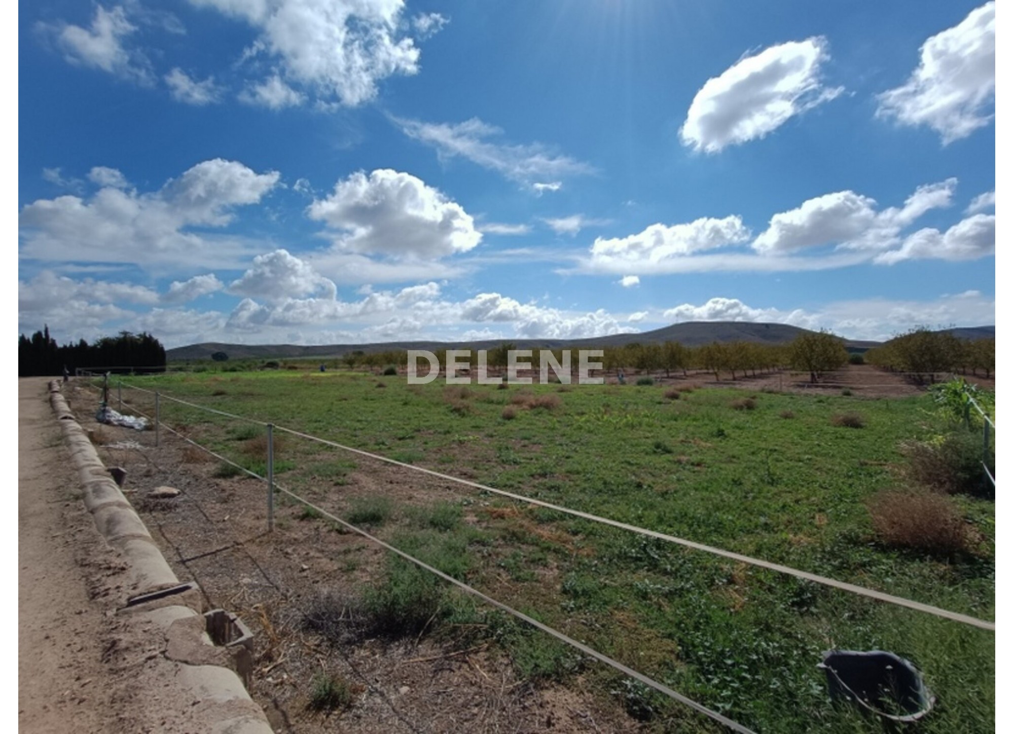 3041 FINCA CON CASA, TERRENO DE CULTIVO Y CUADRAS DE 79.812 M2, TOBARR