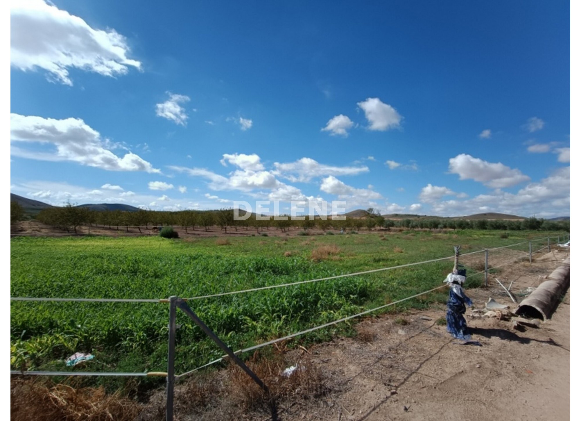 3041 FINCA CON CASA, TERRENO DE CULTIVO Y CUADRAS DE 79.812 M2, TOBARR