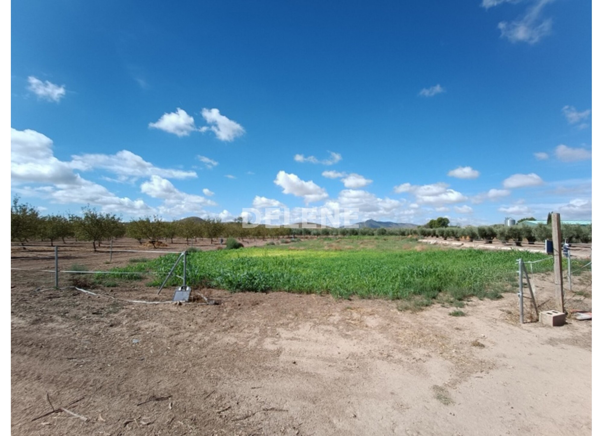 3041 FINCA CON CASA, TERRENO DE CULTIVO Y CUADRAS DE 79.812 M2, TOBARR