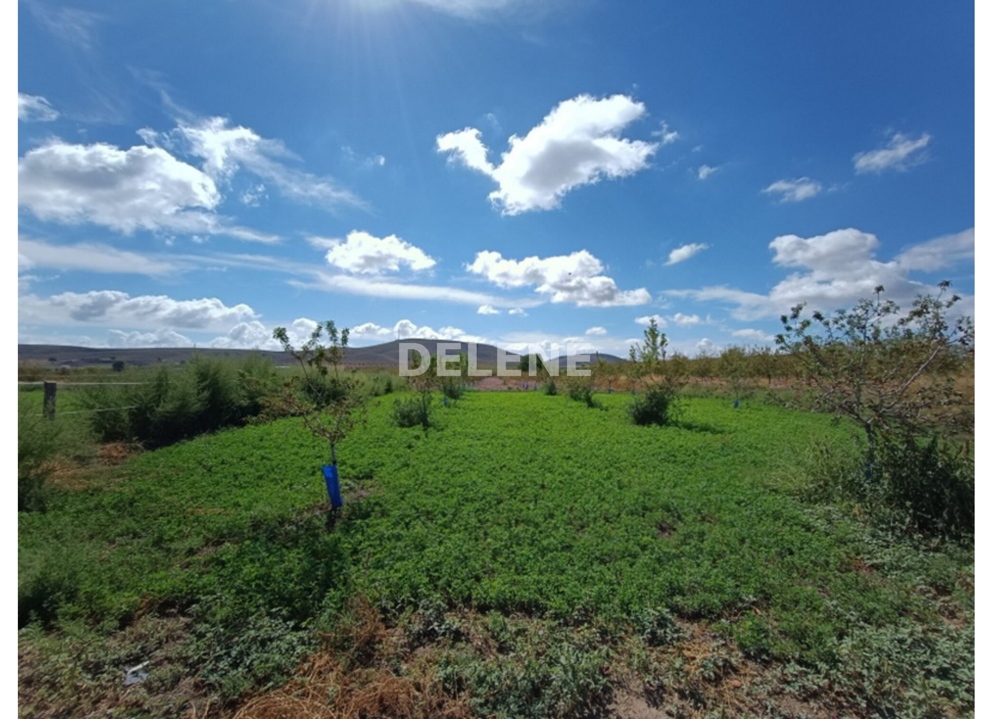 3041 FINCA CON CASA, TERRENO DE CULTIVO Y CUADRAS DE 79.812 M2, TOBARR