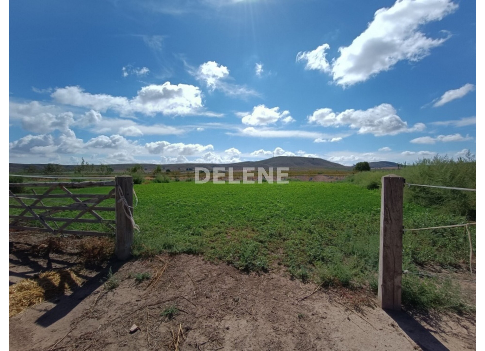 3041 FINCA CON CASA, TERRENO DE CULTIVO Y CUADRAS DE 79.812 M2, TOBARR