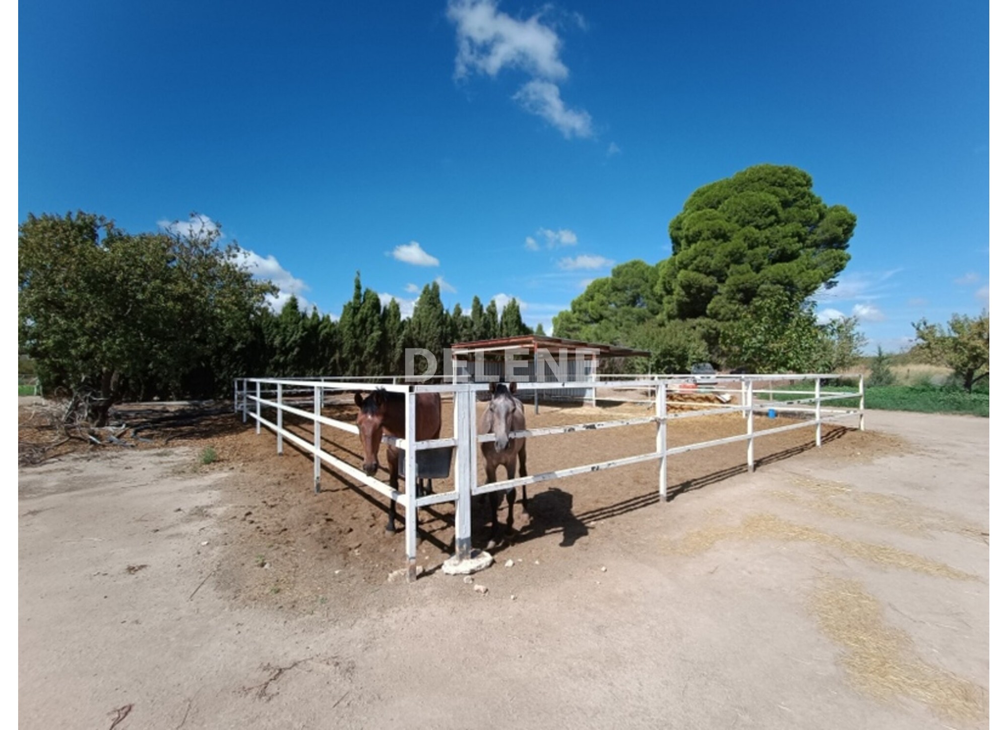 3041 FINCA CON CASA, TERRENO DE CULTIVO Y CUADRAS DE 79.812 M2, TOBARR