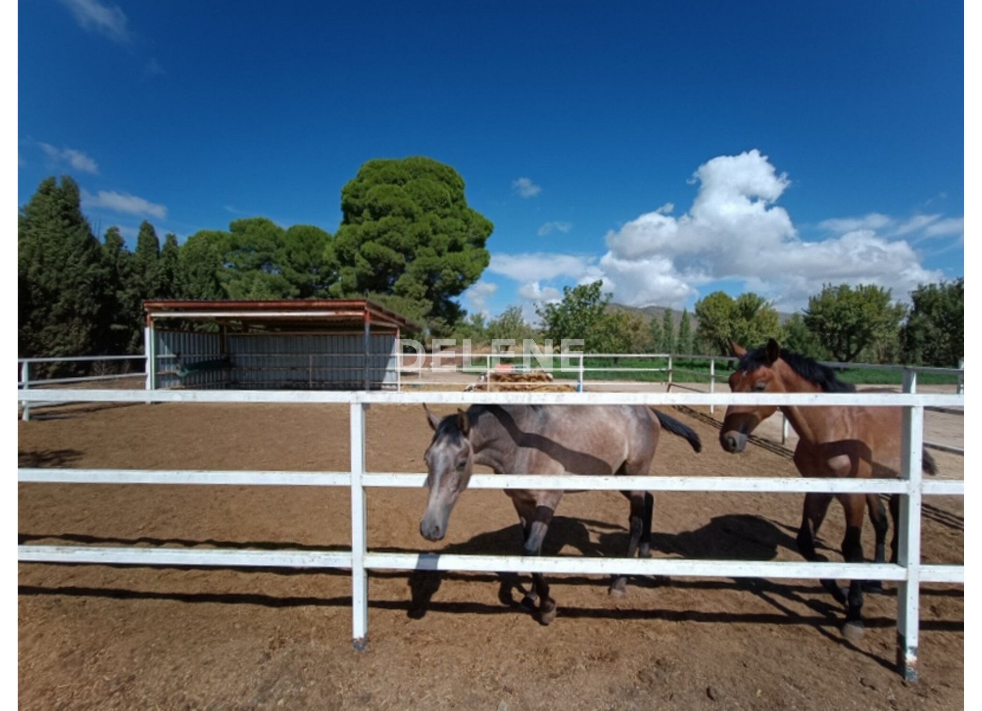 3041 FINCA CON CASA, TERRENO DE CULTIVO Y CUADRAS DE 79.812 M2, TOBARR