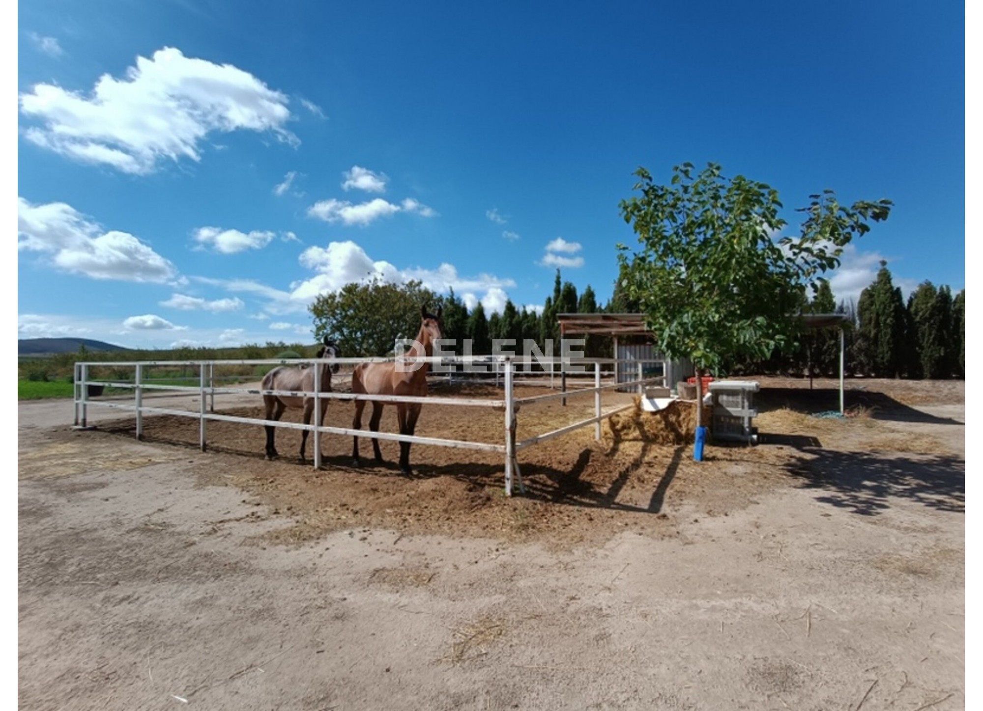 3041 FINCA CON CASA, TERRENO DE CULTIVO Y CUADRAS DE 79.812 M2, TOBARR