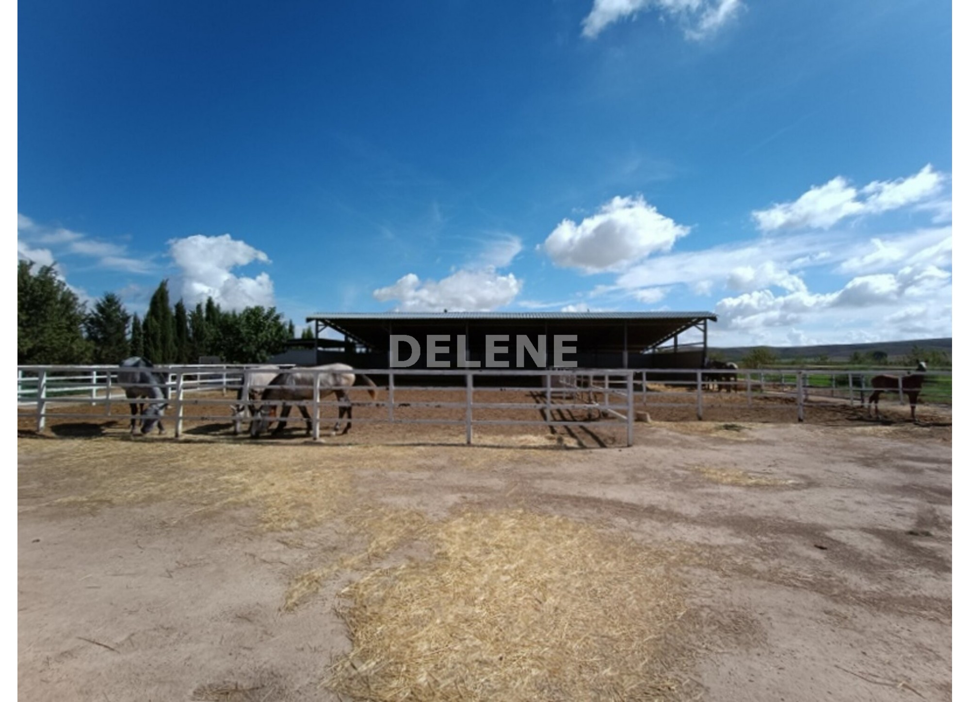 3041 FINCA CON CASA, TERRENO DE CULTIVO Y CUADRAS DE 79.812 M2, TOBARR