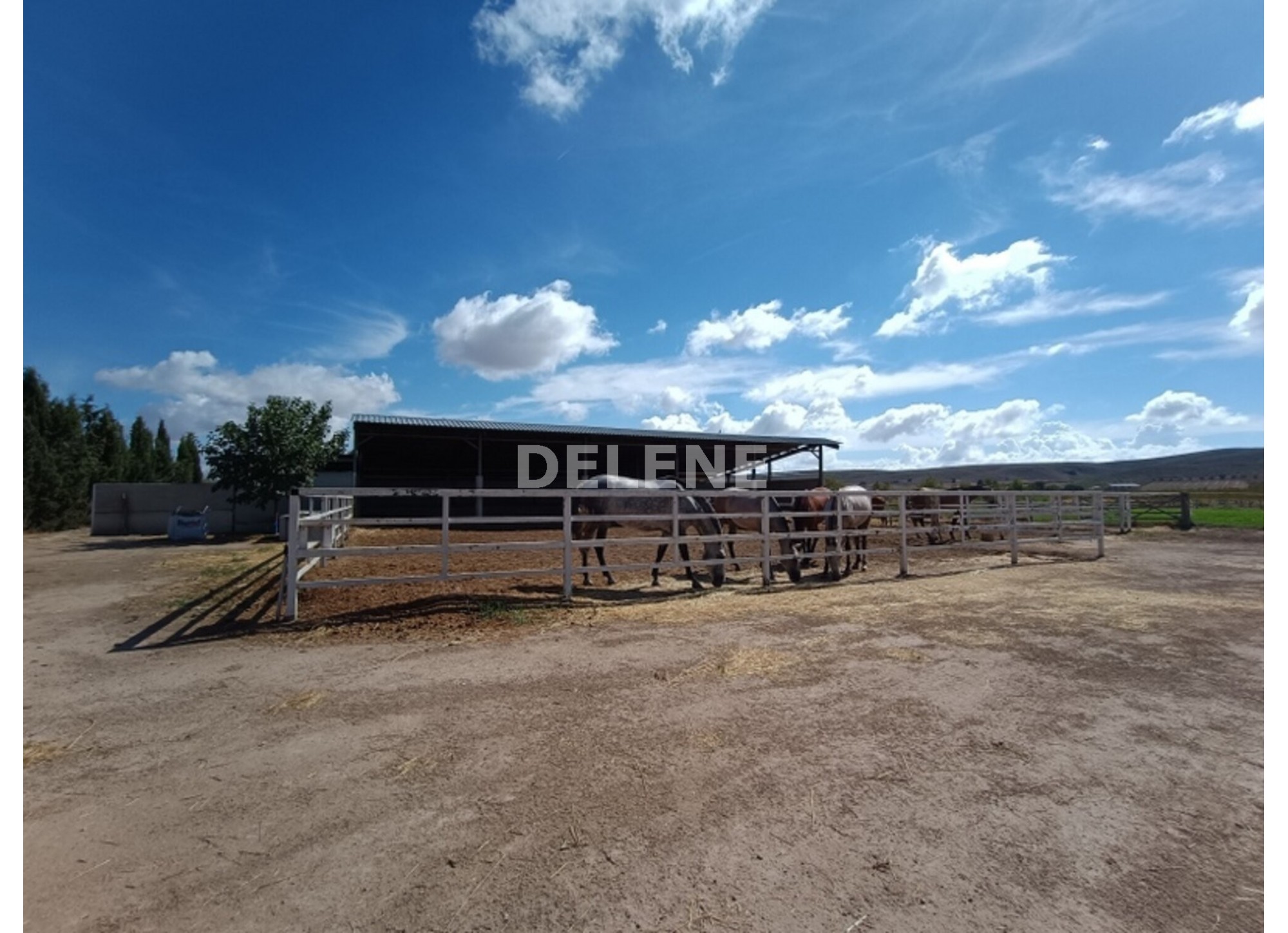 3041 FINCA CON CASA, TERRENO DE CULTIVO Y CUADRAS DE 79.812 M2, TOBARR