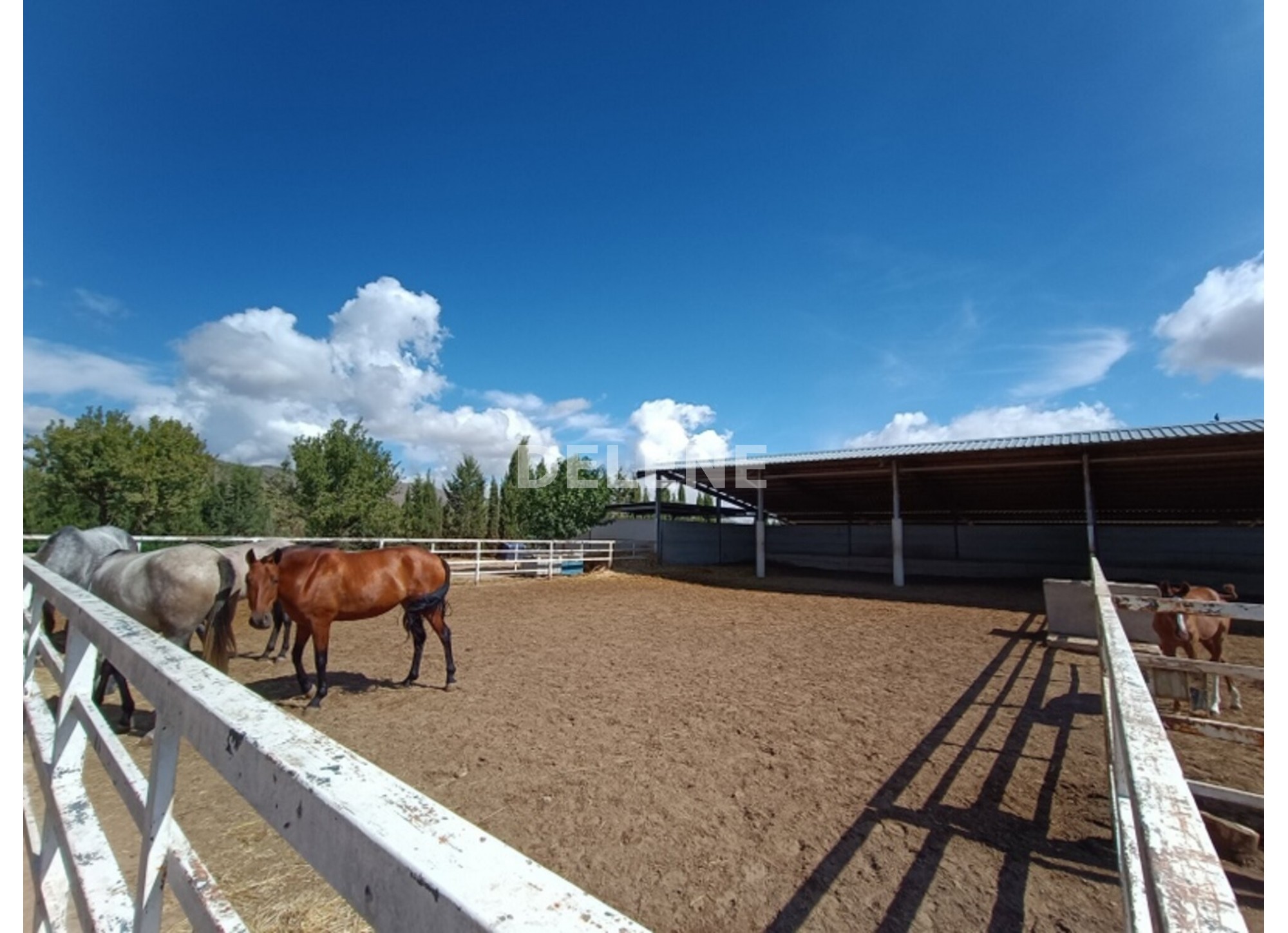 3041 FINCA CON CASA, TERRENO DE CULTIVO Y CUADRAS DE 79.812 M2, TOBARR