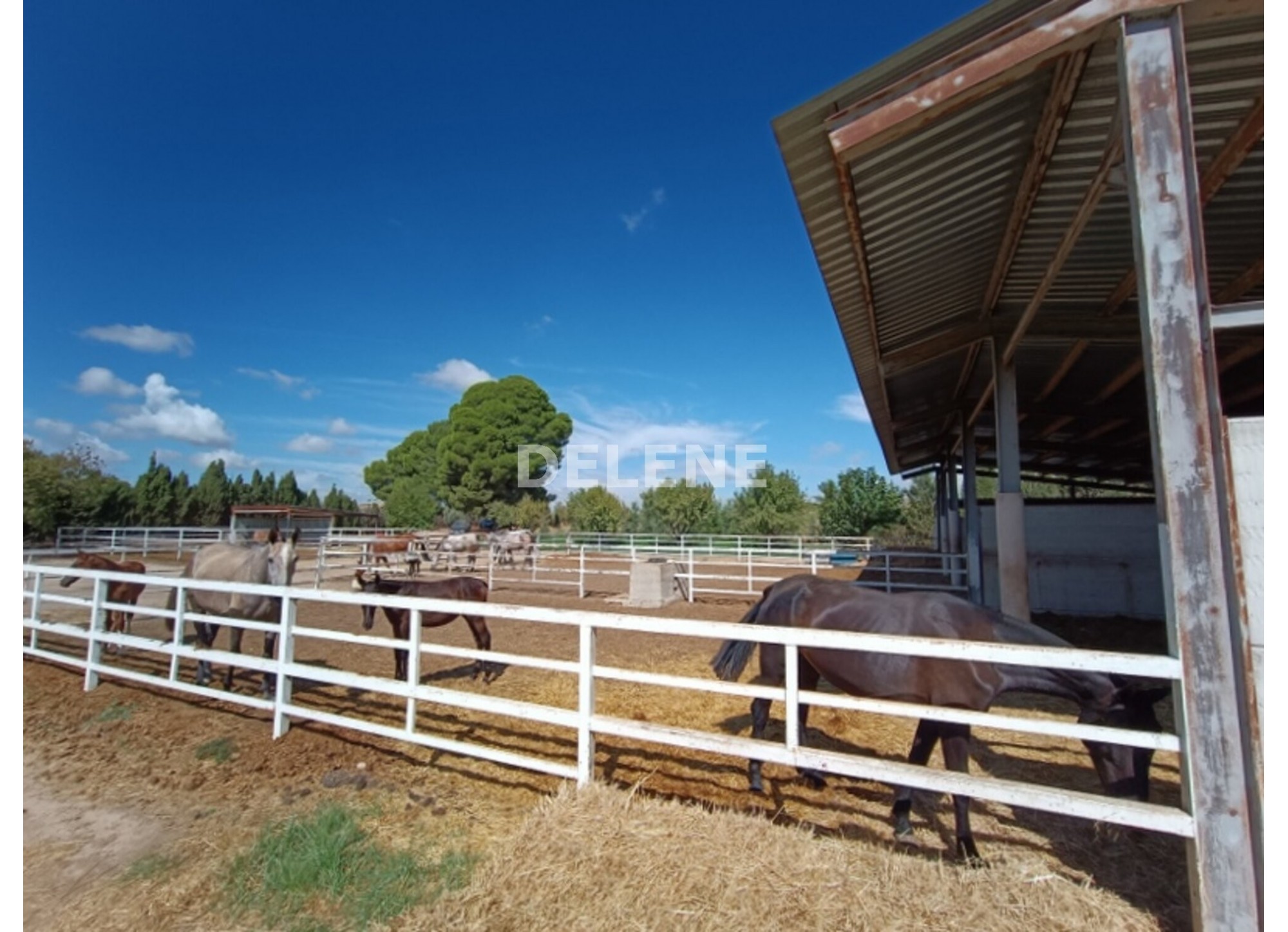 3041 FINCA CON CASA, TERRENO DE CULTIVO Y CUADRAS DE 79.812 M2, TOBARR