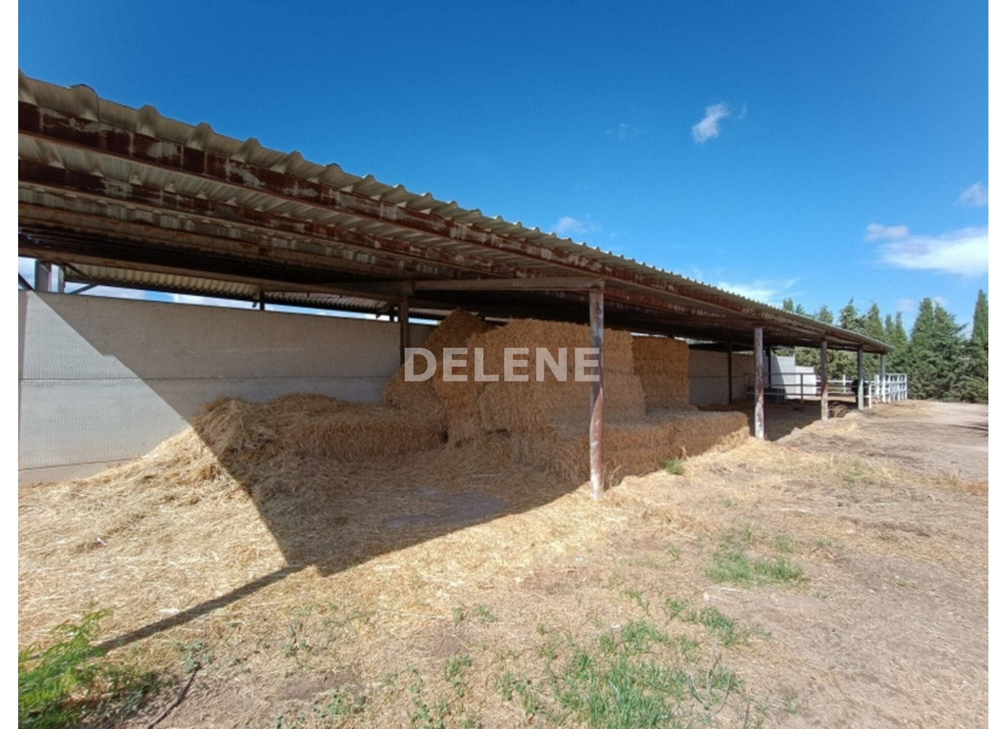 3041 FINCA CON CASA, TERRENO DE CULTIVO Y CUADRAS DE 79.812 M2, TOBARR