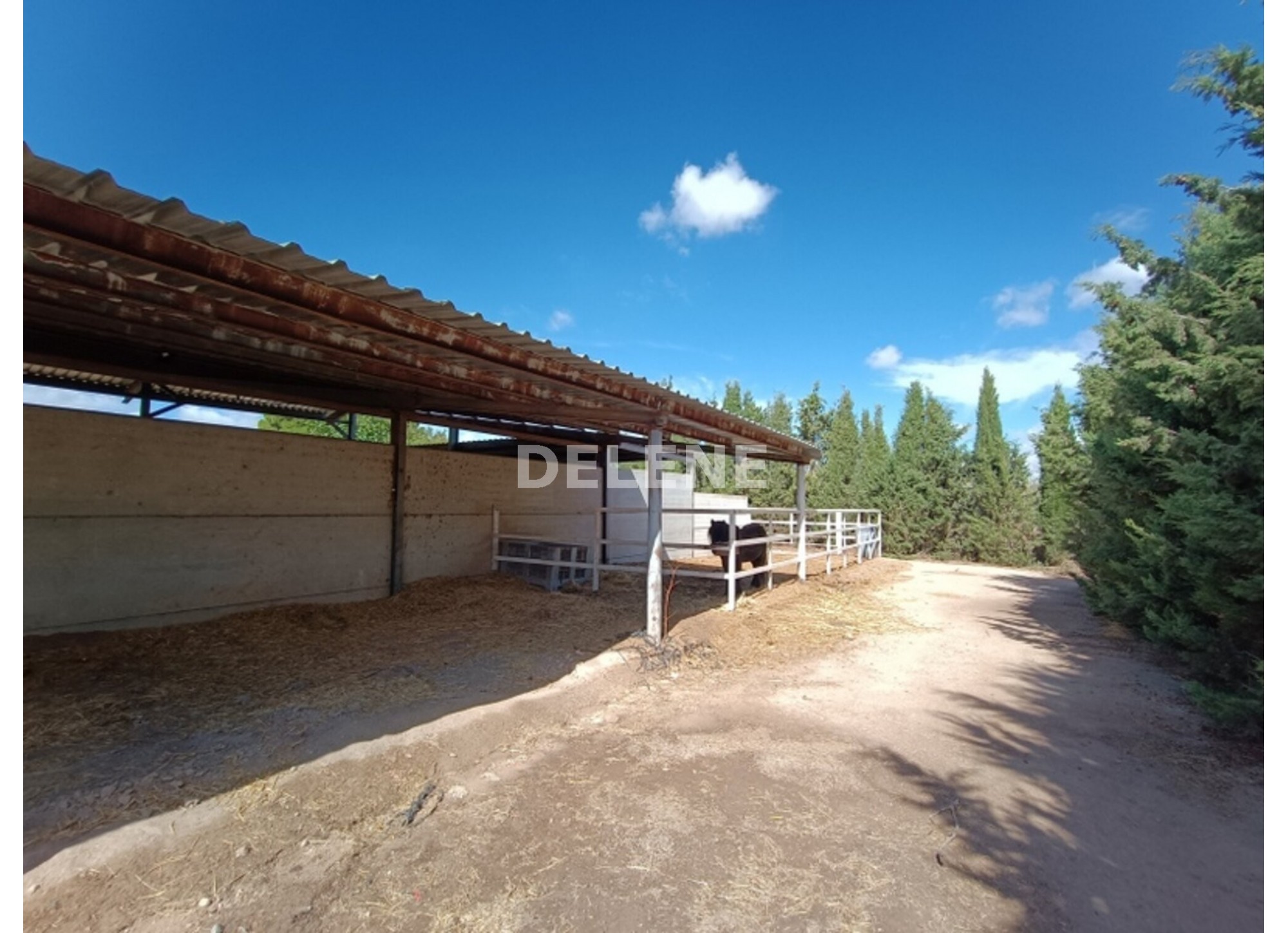 3041 FINCA CON CASA, TERRENO DE CULTIVO Y CUADRAS DE 79.812 M2, TOBARR