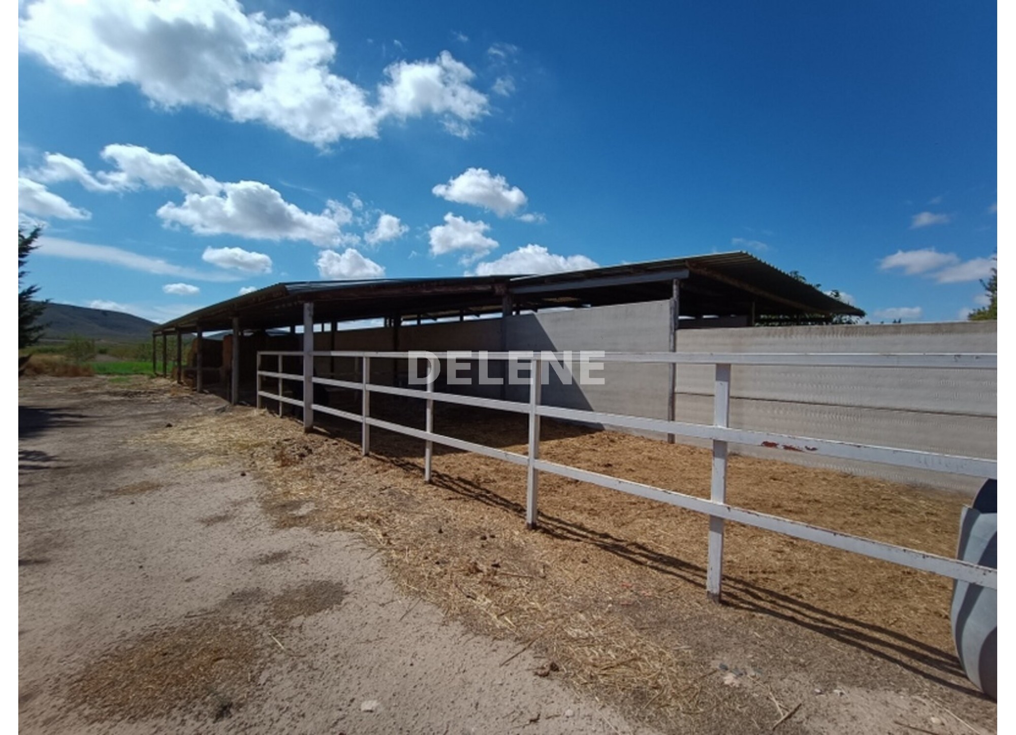 3041 FINCA CON CASA, TERRENO DE CULTIVO Y CUADRAS DE 79.812 M2, TOBARR