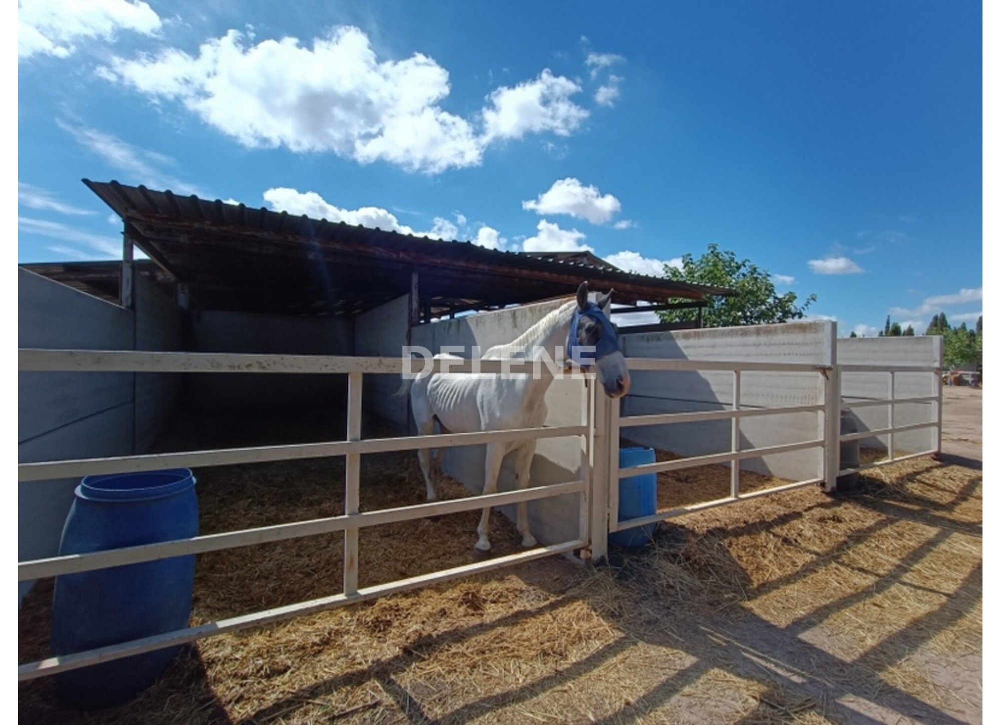 3041 FINCA CON CASA, TERRENO DE CULTIVO Y CUADRAS DE 79.812 M2, TOBARR