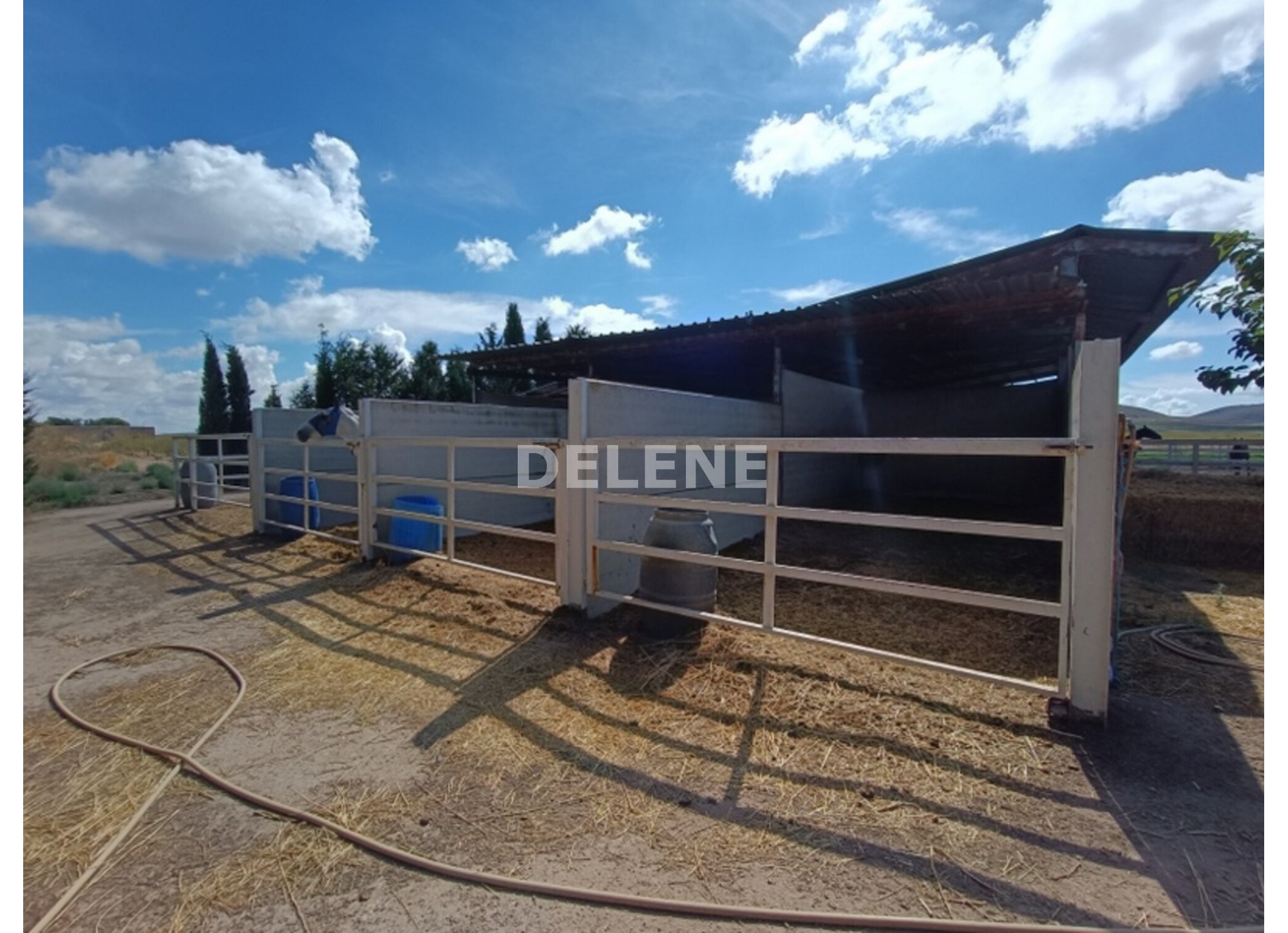 3041 FINCA CON CASA, TERRENO DE CULTIVO Y CUADRAS DE 79.812 M2, TOBARR