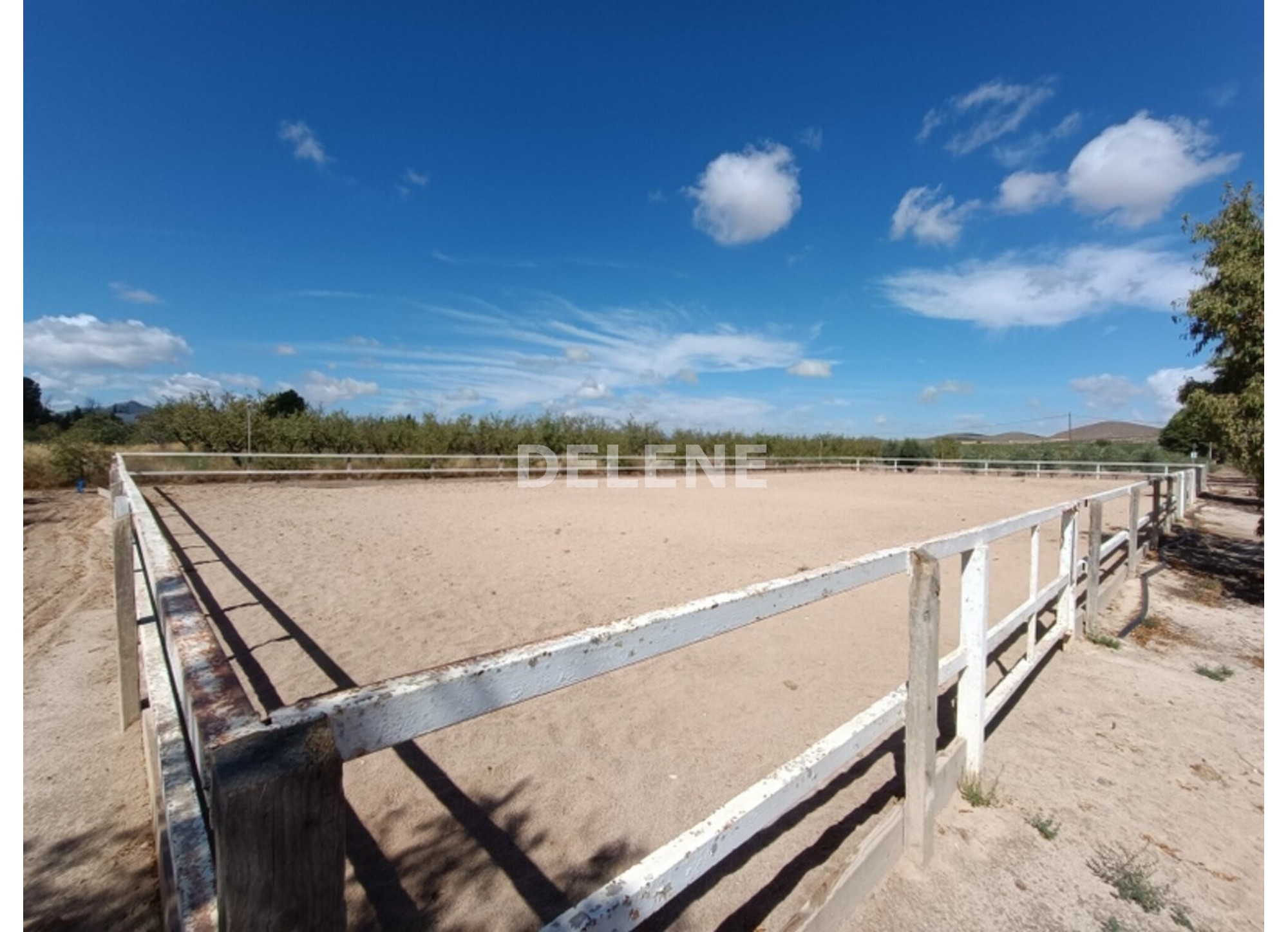 3041 FINCA CON CASA, TERRENO DE CULTIVO Y CUADRAS DE 79.812 M2, TOBARR