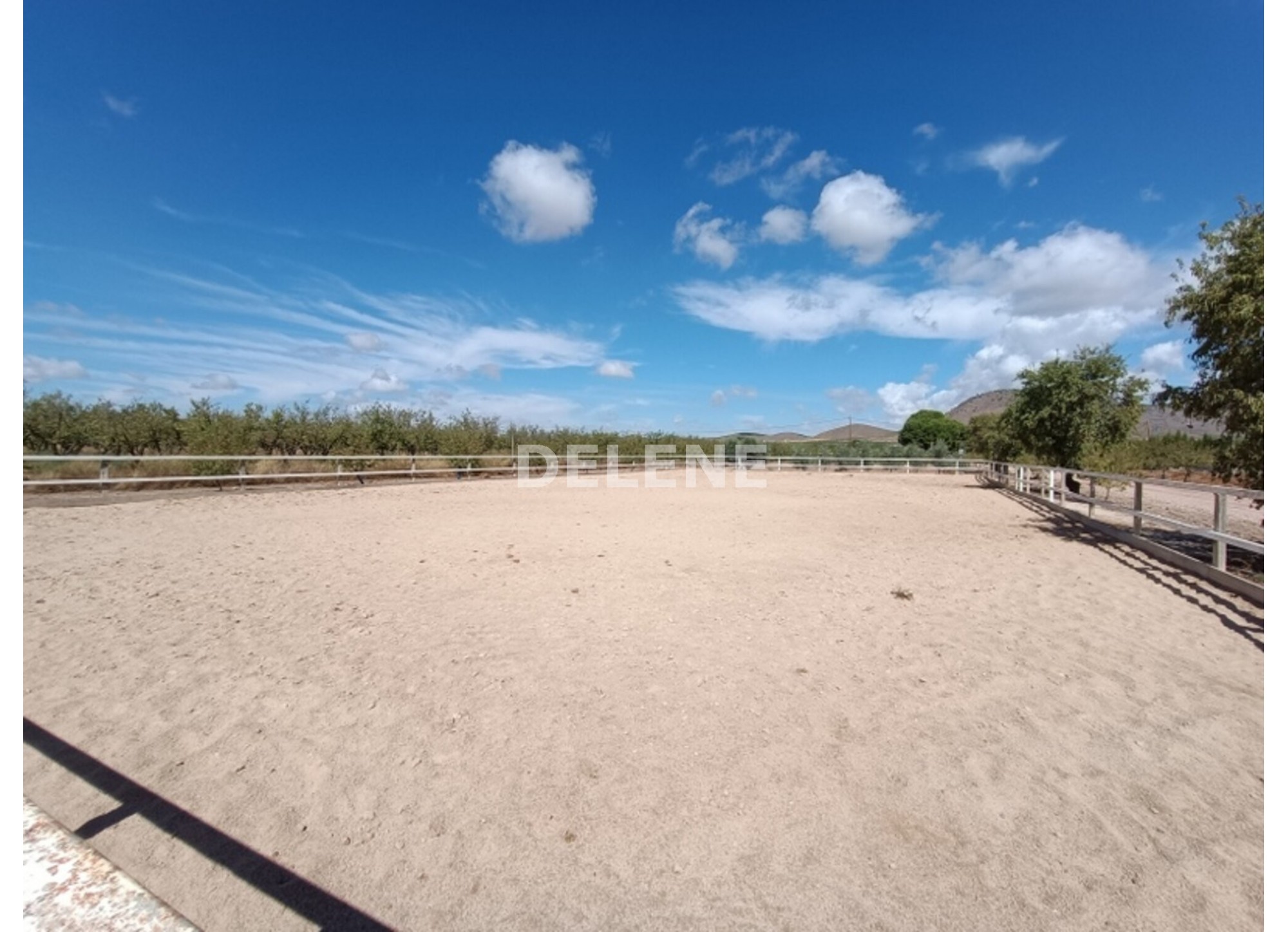 3041 FINCA CON CASA, TERRENO DE CULTIVO Y CUADRAS DE 79.812 M2, TOBARR