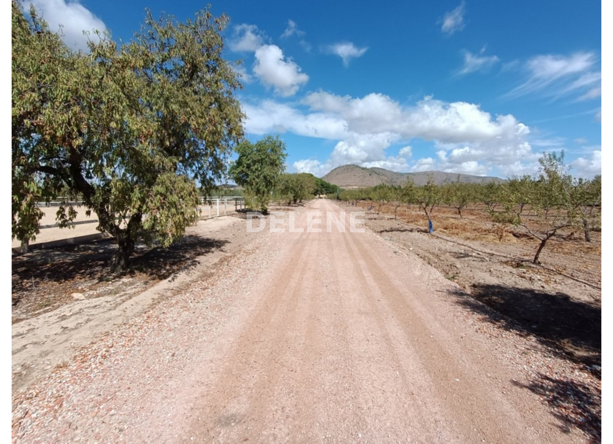 3041 FINCA CON CASA, TERRENO DE CULTIVO Y CUADRAS DE 79.812 M2, TOBARR