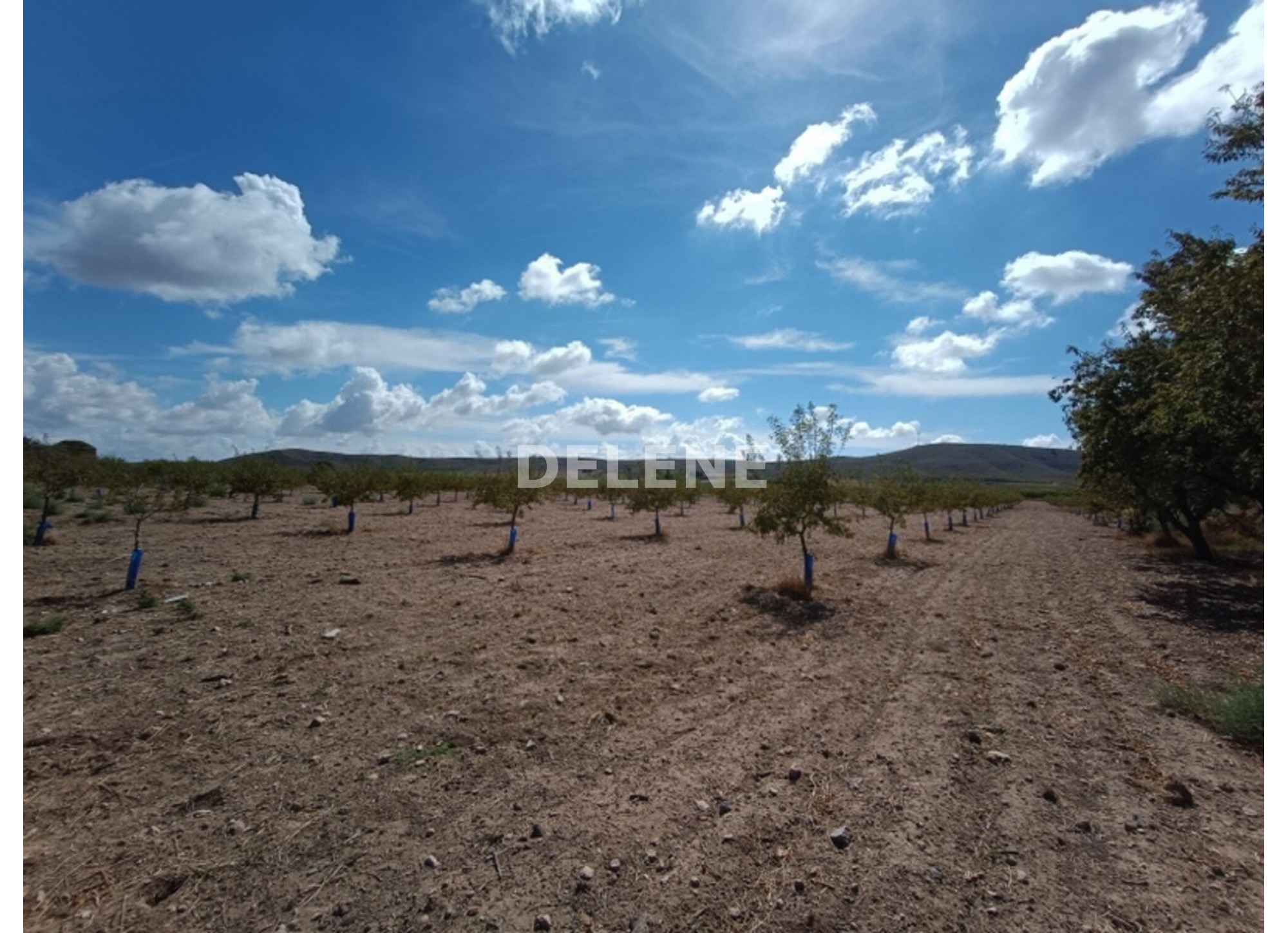 3041 FINCA CON CASA, TERRENO DE CULTIVO Y CUADRAS DE 79.812 M2, TOBARR