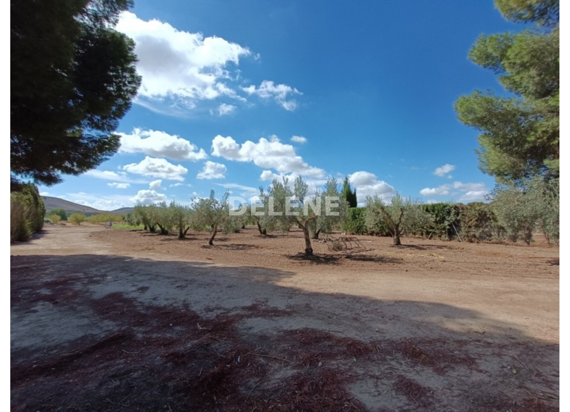 3041 FINCA CON CASA, TERRENO DE CULTIVO Y CUADRAS DE 79.812 M2, TOBARR