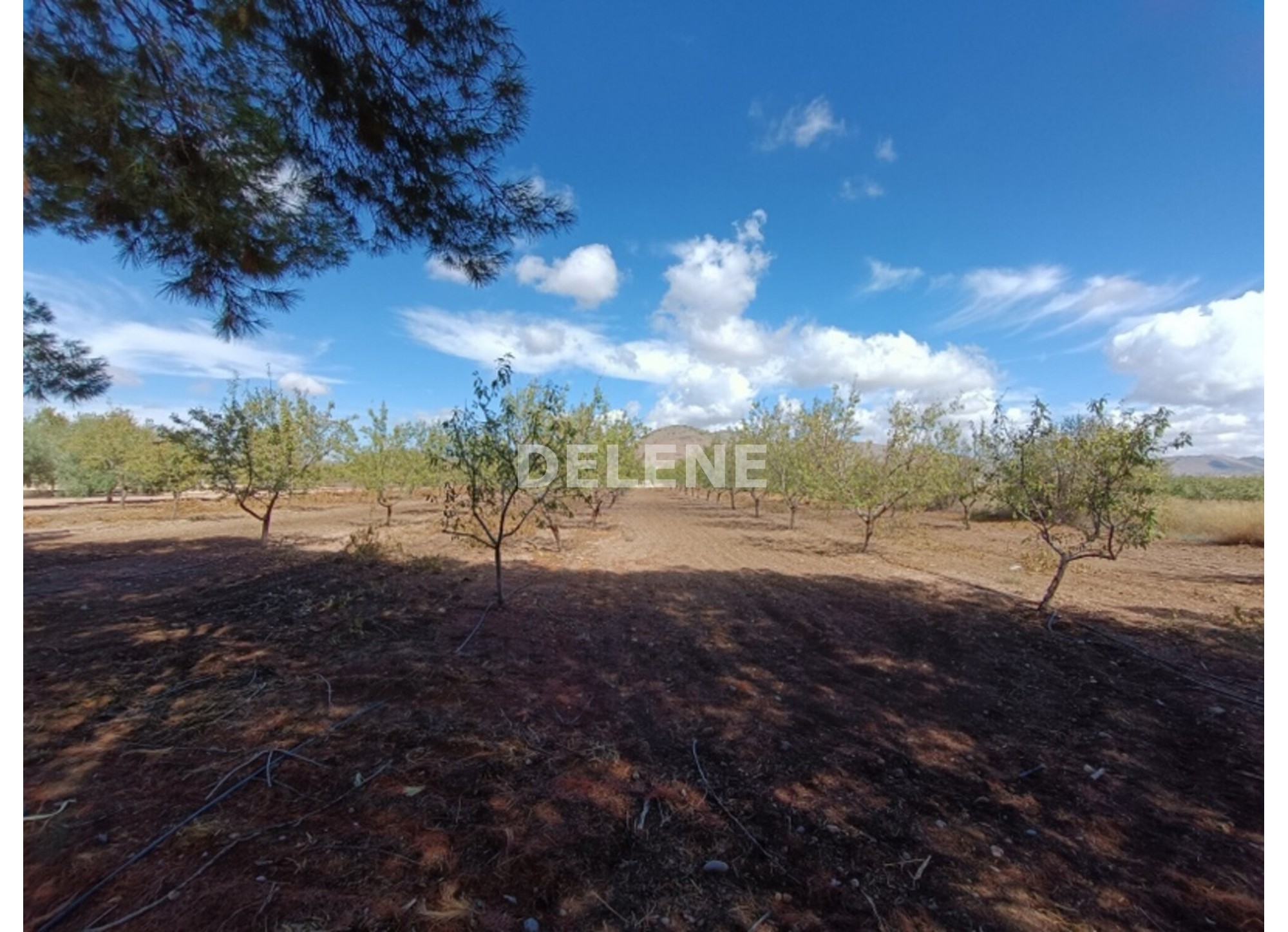 3041 FINCA CON CASA, TERRENO DE CULTIVO Y CUADRAS DE 79.812 M2, TOBARR