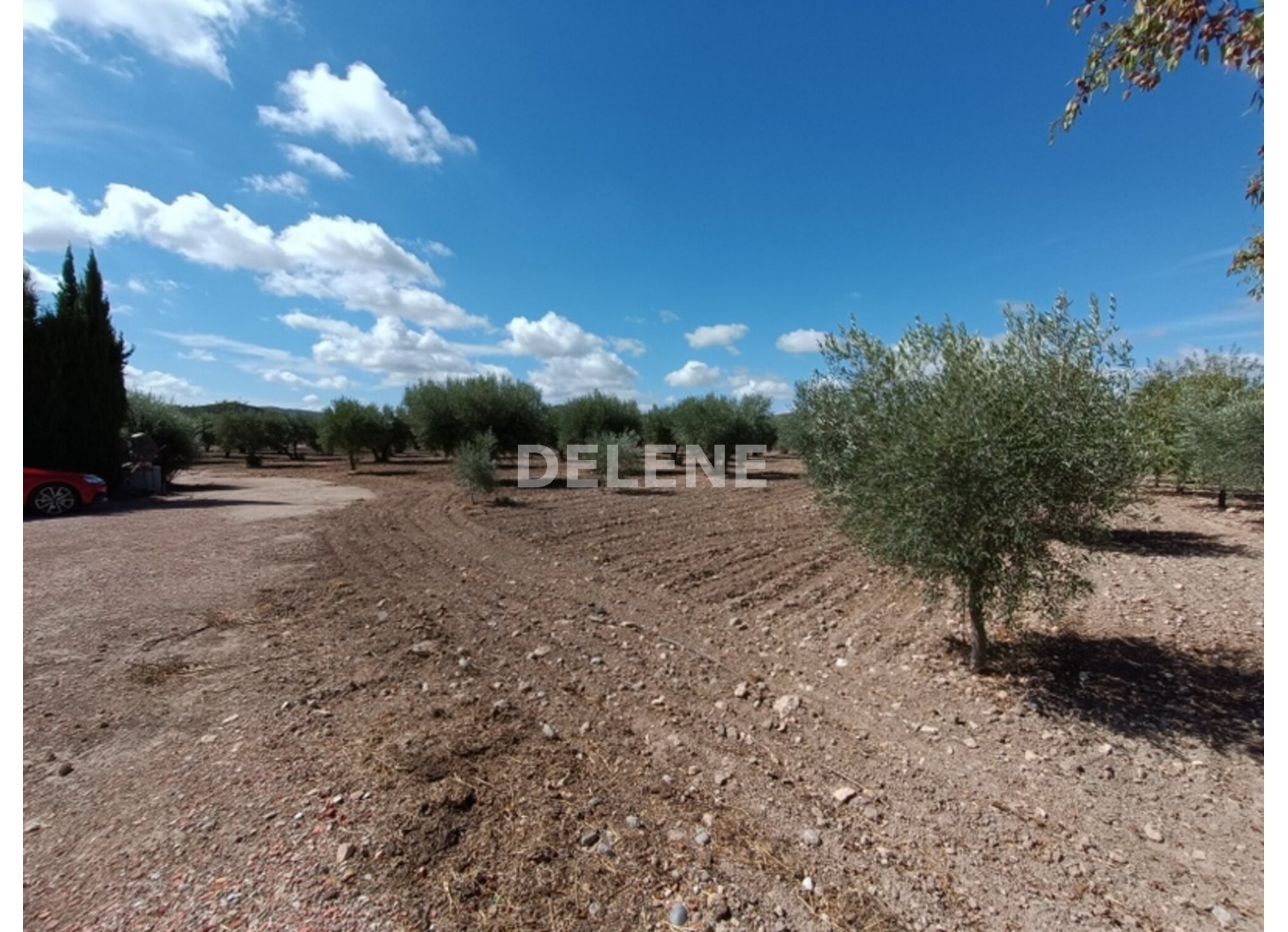 3041 FINCA CON CASA, TERRENO DE CULTIVO Y CUADRAS DE 79.812 M2, TOBARR