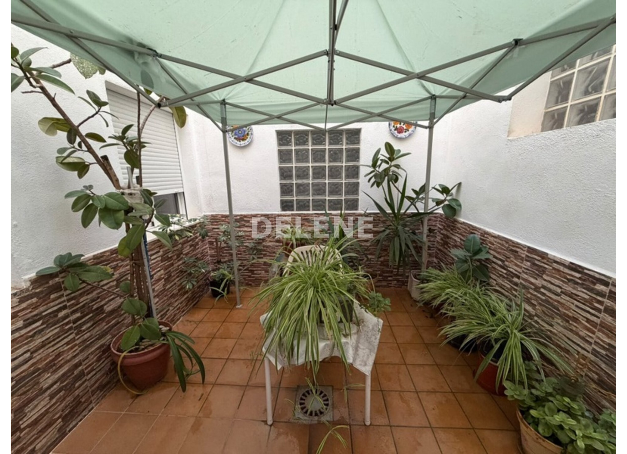 3052 PISO EN PLANTA BAJA CON TRES PATIOS, ISSO