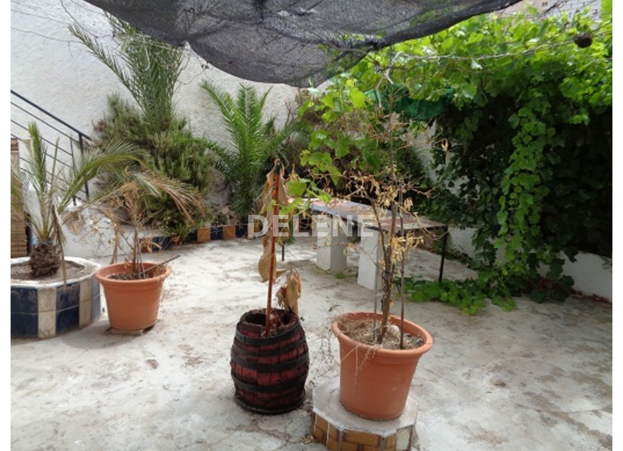 1449 CASA CON PATIO, PISCINA DE LA RIBERA