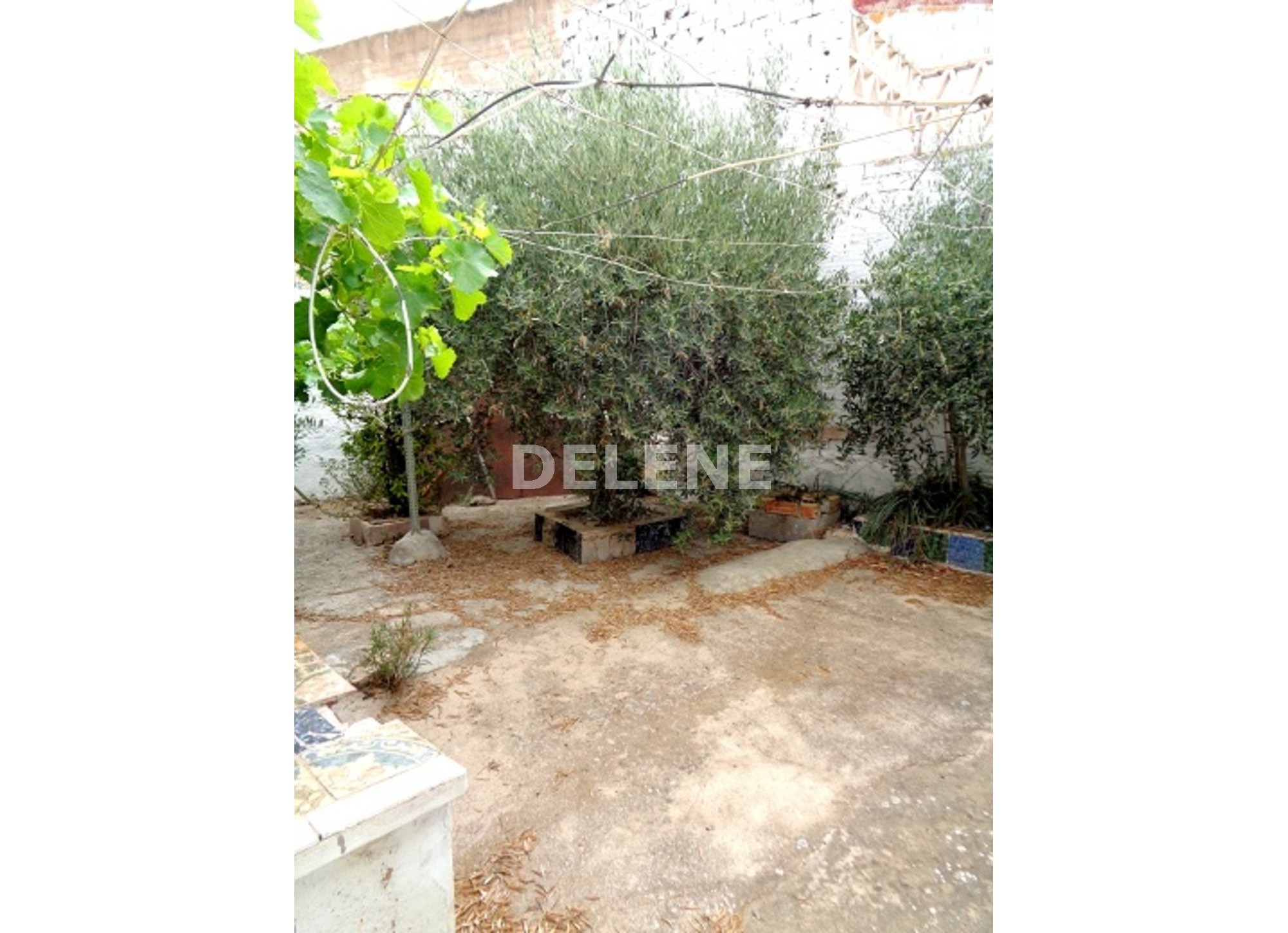 1449 CASA CON PATIO, PISCINA DE LA RIBERA